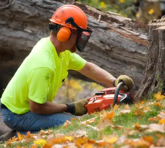 tree services Coushatta